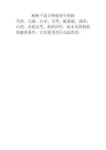 楊樹(shù)下適合種植的中藥材