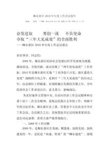 柳東新區2010年年度工作會議報告