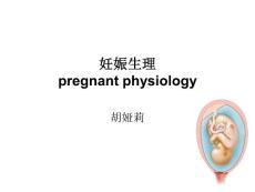 妊娠生理南醫(yī)大2011-2-28