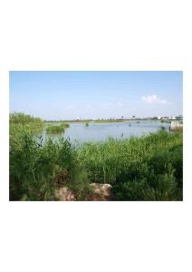 美麗的寧夏醫(yī)科大學(xué)校園