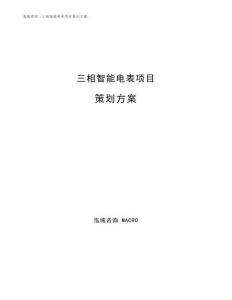 三相智能电表项目策划方案
