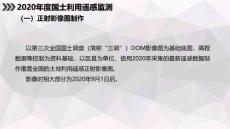 2020年年度國土變更調查監測圖斑提取信息