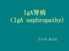 iga肾病ppt课件