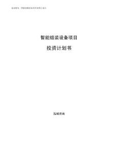 智能组装设备项目投资计划书 (2)