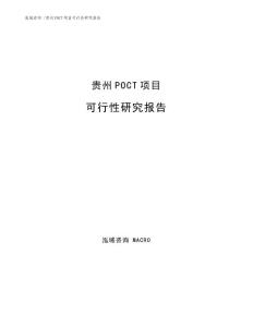 贵州POCT项目可行性研究报告