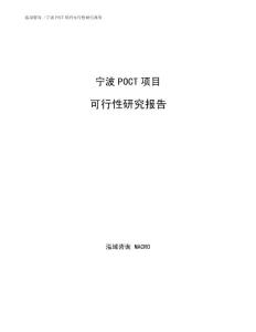 宁波POCT项目可行性研究报告（可编辑范文模板）