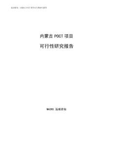 内蒙古POCT项目可行性研究报告