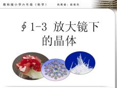 1-3放大鏡下的晶體