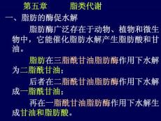 第五章 脂肪代謝