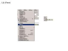 人臉 Face
