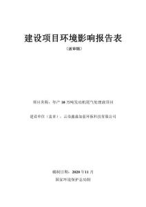 年产10万吨发动机尾气处理液项目-c2666环境污染处理专用药剂材料制造建设项目环境影响报告表