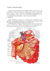 肠系膜上动脉栓塞