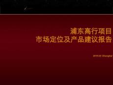 上海浦東高行項目市場定位及產(chǎn)品建議報告