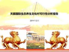 成都天頤國際生態(tài)文化村項目定位策劃及可行性研究報告