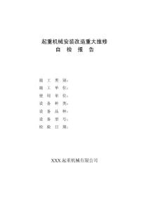 橋式起重機自檢報告