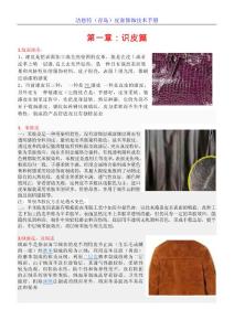 《潔恩特皮面修飾手冊》