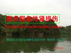 围术期急性肾损伤