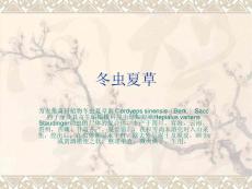 冬蟲夏草用途匯總