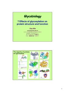 7-effects of glycosylation on protein