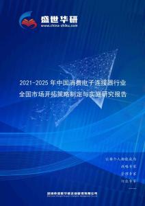 2021-2025年中國消費電子連接器行業全國市場開拓策略制定與實施研究報告