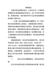 手机消费调查报告