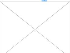 我喜愛的小動物