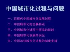 中國城市化過程與問題