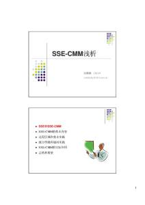 SSE-CMM淺析