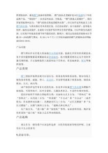 壁掛爐介紹及使用常識(shí)