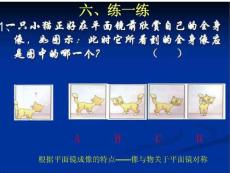 平面鏡成像與作圖(復習課)