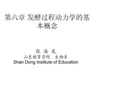 微生物工程--发酵过程动力学的基本概念