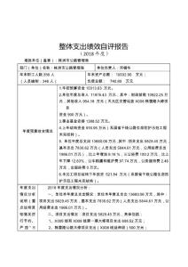 整體支出績效自評報告