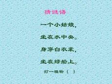 《荷花》PPT課件