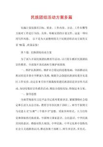民族团结活动方案多篇
