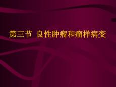 口腔頜面部腫瘤5