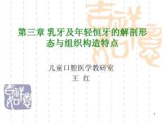 乳牙與年輕恒牙解剖結(jié)構(gòu)與組織結(jié)構(gòu)特點(diǎn)第4版2013年
