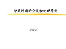 卵巢腫瘤的分類和處理原則