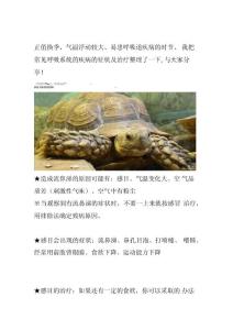 际龟感冒肺炎流鼻涕