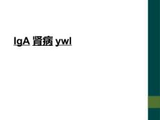 IgA肾病ywl