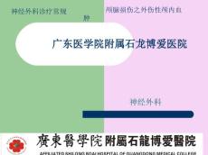 《颅内血肿-概述》ppt课件