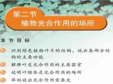 绿色植物的叶片一般呈绿色的扁平的在空间中展放开来ppt课件