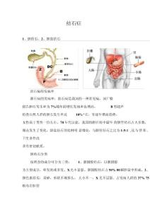胆结石与胆囊结石