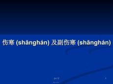 伤寒及副伤寒学习教案