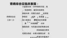 肾病综合征膜性肾病