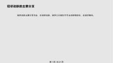 冠状动脉分段