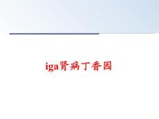 iga肾病丁香园