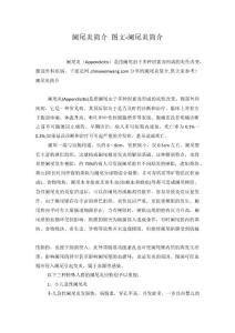 阑尾炎简介 图文-阑尾炎简介