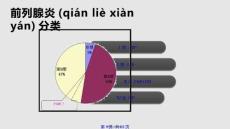 型前列腺炎