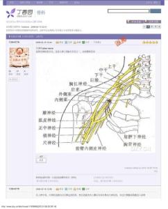 尺神经损伤实用