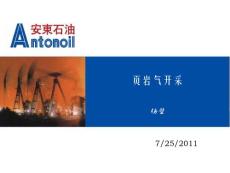 頁巖氣開發(fā)技術(shù)材料7.25